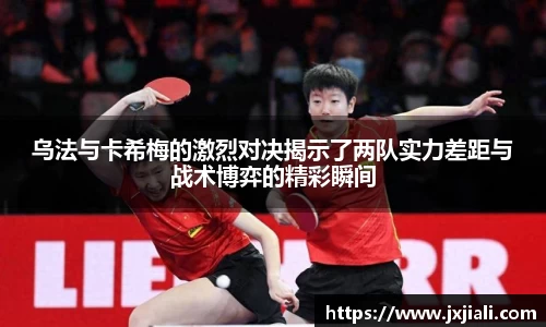 zoty中欧